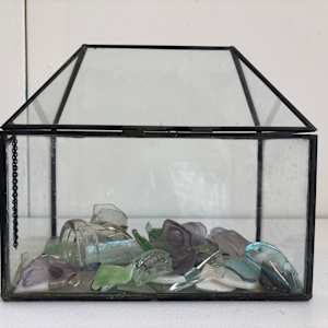 Midden by Emily Smith