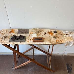 Domestic Realm by Emily Smith