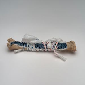 Talisman #1 by Emily Smith