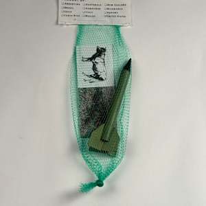 Most Popular Exports by Emily Smith