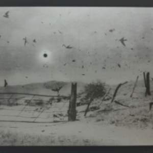 Eclipse II by Antonio Turok