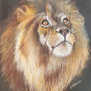 Gazing At Stars by Esther Manso