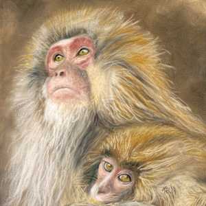 Tender Bonds by Esther Manso