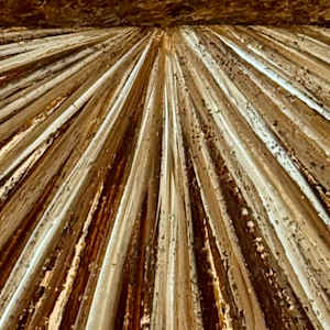 Delta Gold by Janelle Douglas 