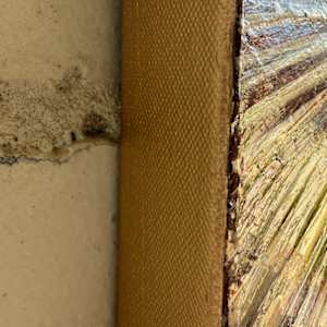 Delta Gold by Janelle Douglas 