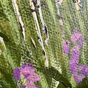 Wedding Day by Janelle Douglas 