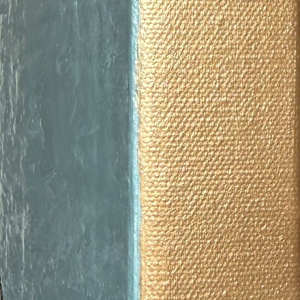 Delta Gold by Janelle Douglas 