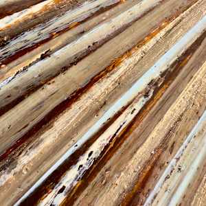 Delta Gold by Janelle Douglas 