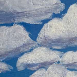 The Delicate Weight by Janelle Douglas 