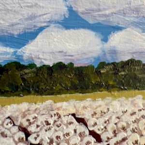 The Delicate Weight by Janelle Douglas 