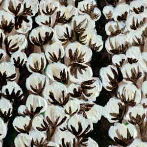 The Delicate Weight by Janelle Douglas 