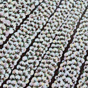 Cotton Candy by Janelle Douglas 