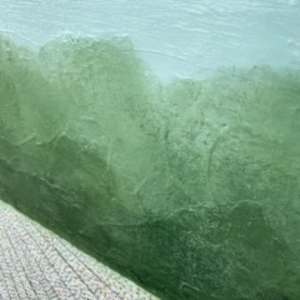 Cotton Candy by Janelle Douglas 