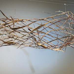 Uproot by Amber Coppings, Image 4.