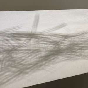 Uproot by Amber Coppings, Image 3.
