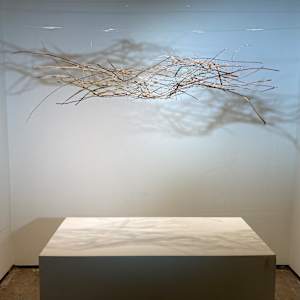 Uproot by Amber Coppings, Image 2.