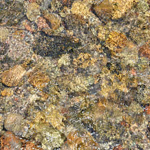 No man ever steps in the same river twice by Allison "Ally Bee" Findeiss-Becker