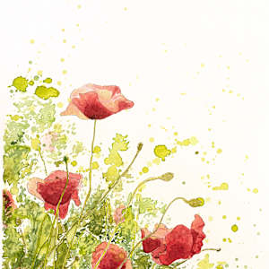 Simple Beauty; Poppies by Gia Dianna