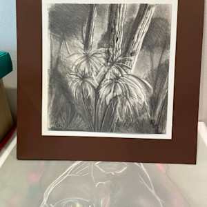 Bosque de Cariló by Ricardo Winitzky
