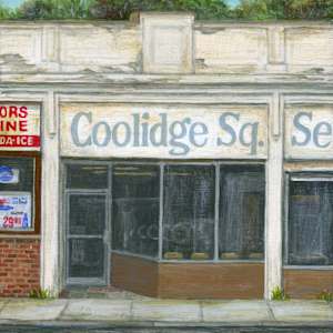 Spin Cycle by Debbie Shirley