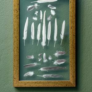 Hibiki by Caro González