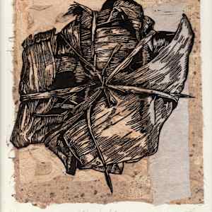 El pibipollo by Nero