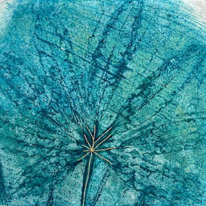 Manihot Sculenta by Julieta Barrios