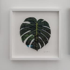 Monstera Deliciosa I by Anna Hutchinson  Image: Monstera Deliciosa I Framed