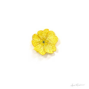 Primrose by Anna Hutchinson