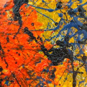 Bloom Against the Noise, 2025 by Rushit Shah 