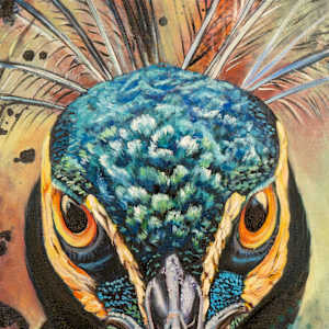 Regal Resolve by Tash Bardot 