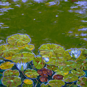 East Pond by Matt Kaplinsky, Image 1.