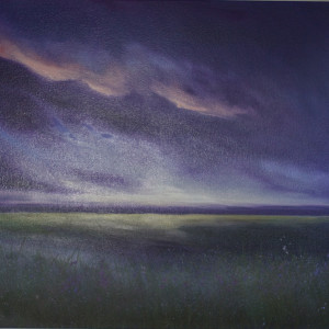 Purple sky lights up the meadows by Louise Luton