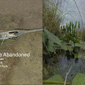 Everglades Soundwalks by Daniel Dugas, Valerie LeBlanc, Image 1.