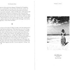 Gladeswoman by Andrea Mason 