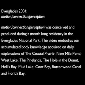 motion/connnection/perception by Tori Arpad, William Gilbert