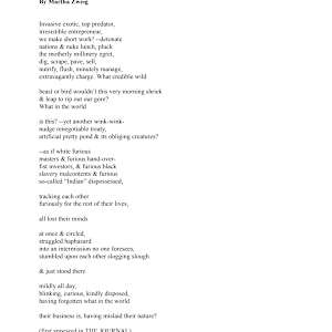 Anhinga Trail, With Seminole Wars by Martha Zweig