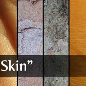 Skin by Deanna Morse