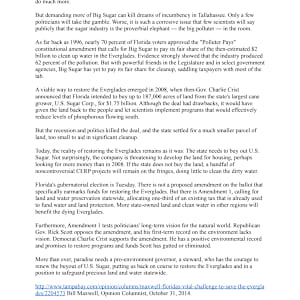 Florida's vital challenge: to save the Everglades by Bill Maxwell 