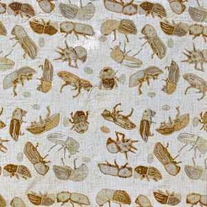 Charting Porous Borders by Sara Beth Rabinowitz 