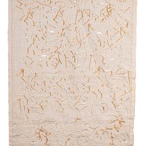 Traces of Transplantation by Sara Beth Rabinowitz