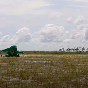 Push and Pull by Reed Van Brunschot