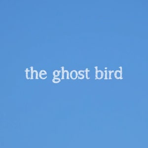 The Ghost Bird by Julia Oldham