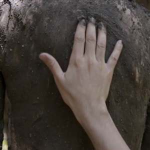 Home by Jenny Larsson