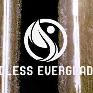 Endless Everglades by Carlos Rigau