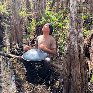 Everglades Serenade by Matt Venuti