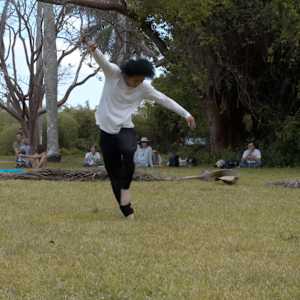 Cross Pollination by Yukio Suzuki, Juraj Kojs