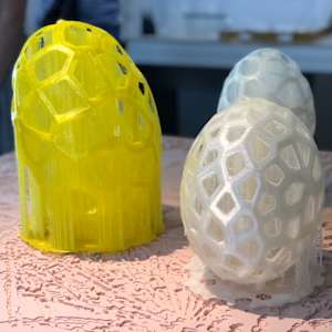 Serenoa repens Matrix by Robert Chambers