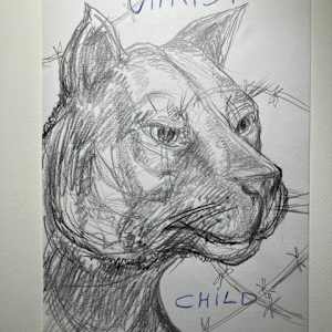 The Florida Panther Graphite by Ron Morosan, Image 1.