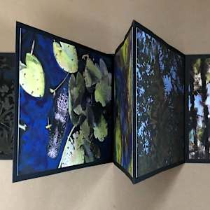 Night Watch in the Everglades by Carol Hendrickson